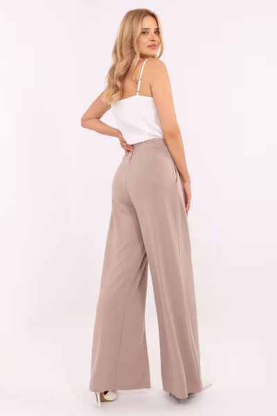 Spodnie Dresowe Model RV-DR-A613.69 Dark Beige - Relevance — zdjęcie 3