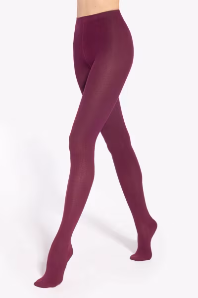 Rajstopy Model Celia Bordo - Gatta — zdjęcie 1